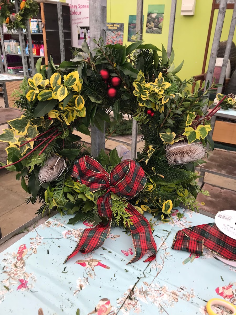 Mill End Plants And Café Photos 2